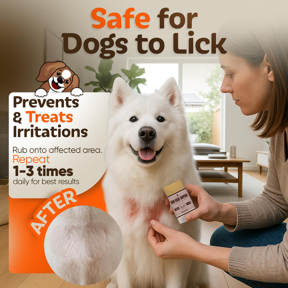 Baaww natural dog skin care ointment packaging visible for soothing care