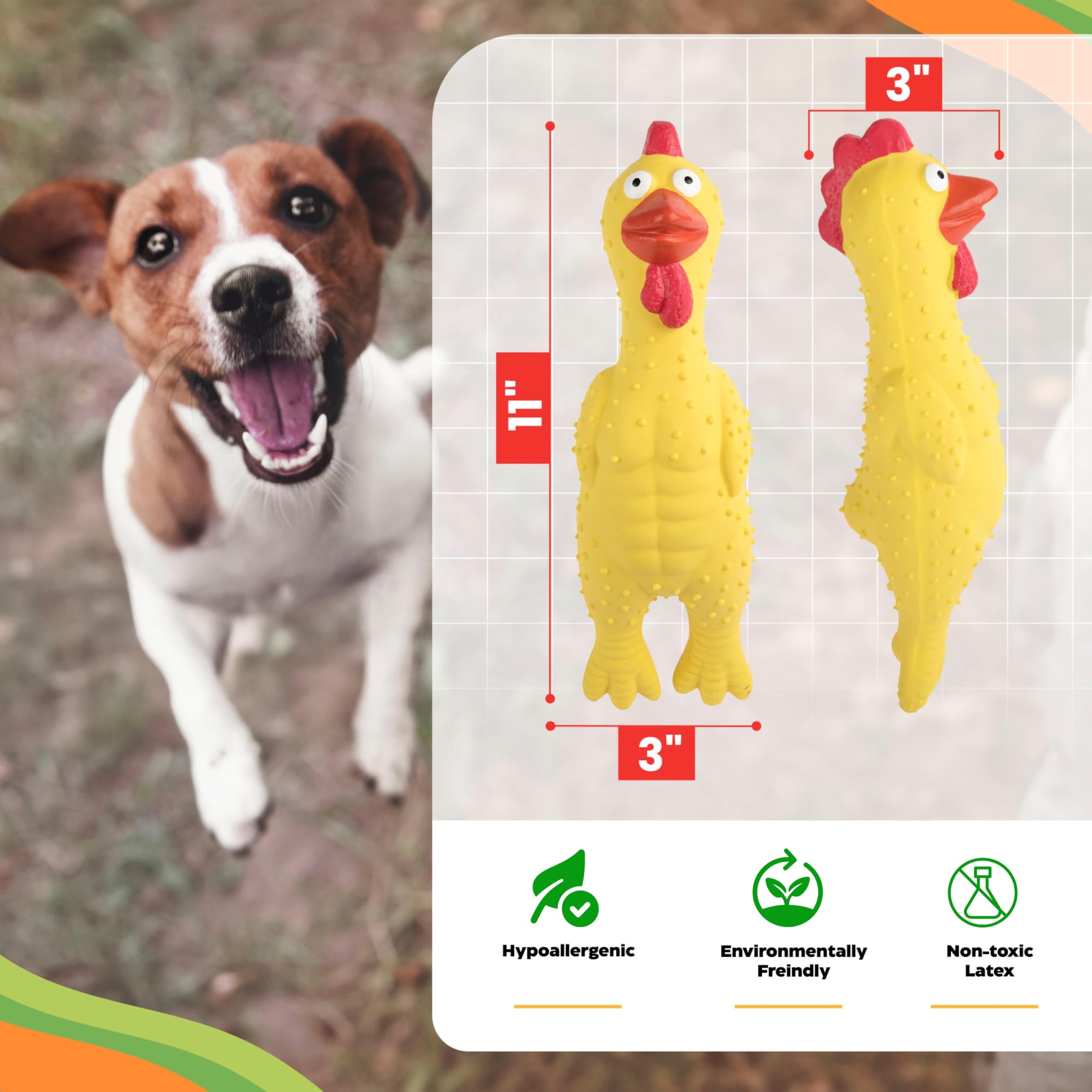 Baba Buddies dog-play squeaky chicken in action for active outdoor fun.