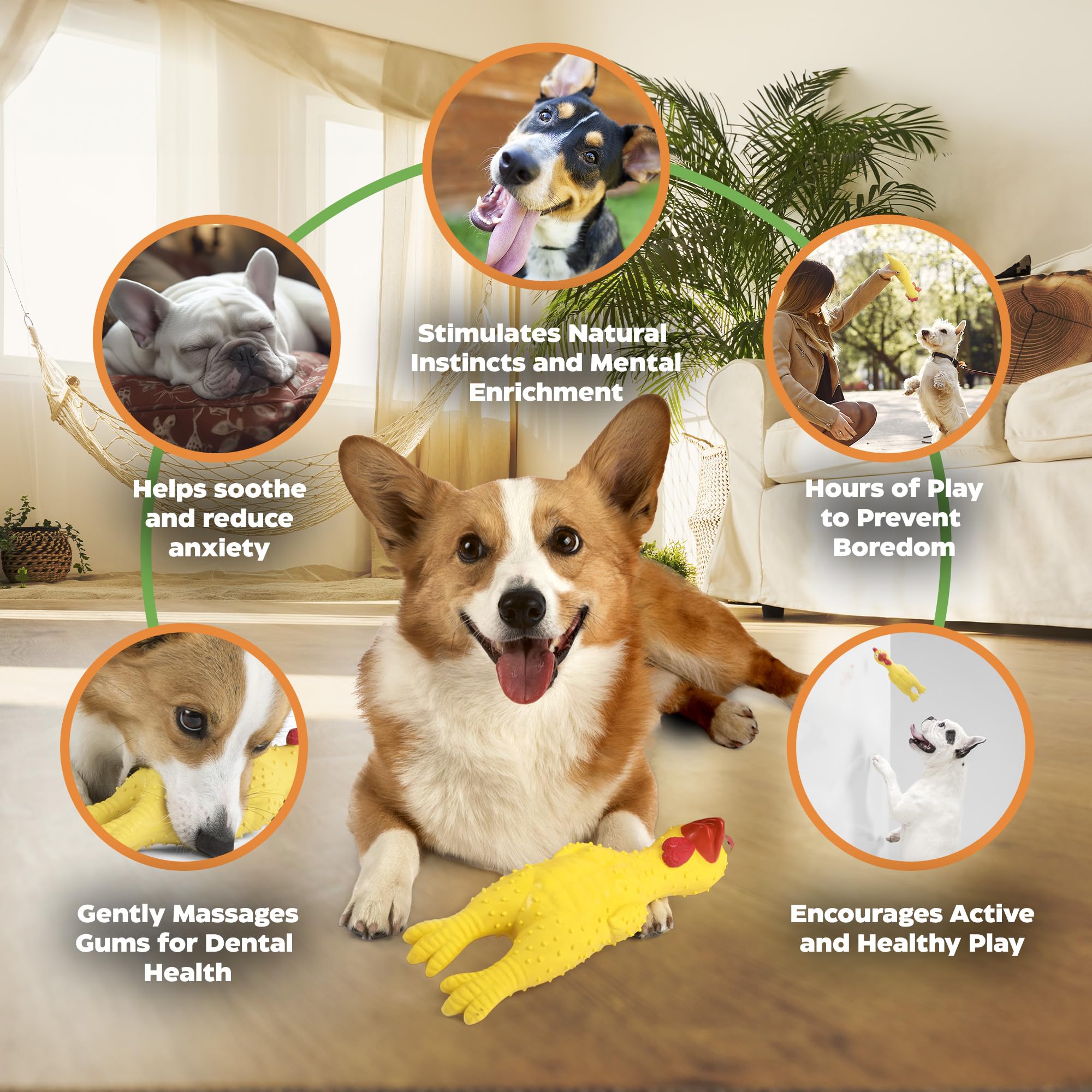 Baba Buddies durable-walls chicken toy close-up highlighting thick latex.