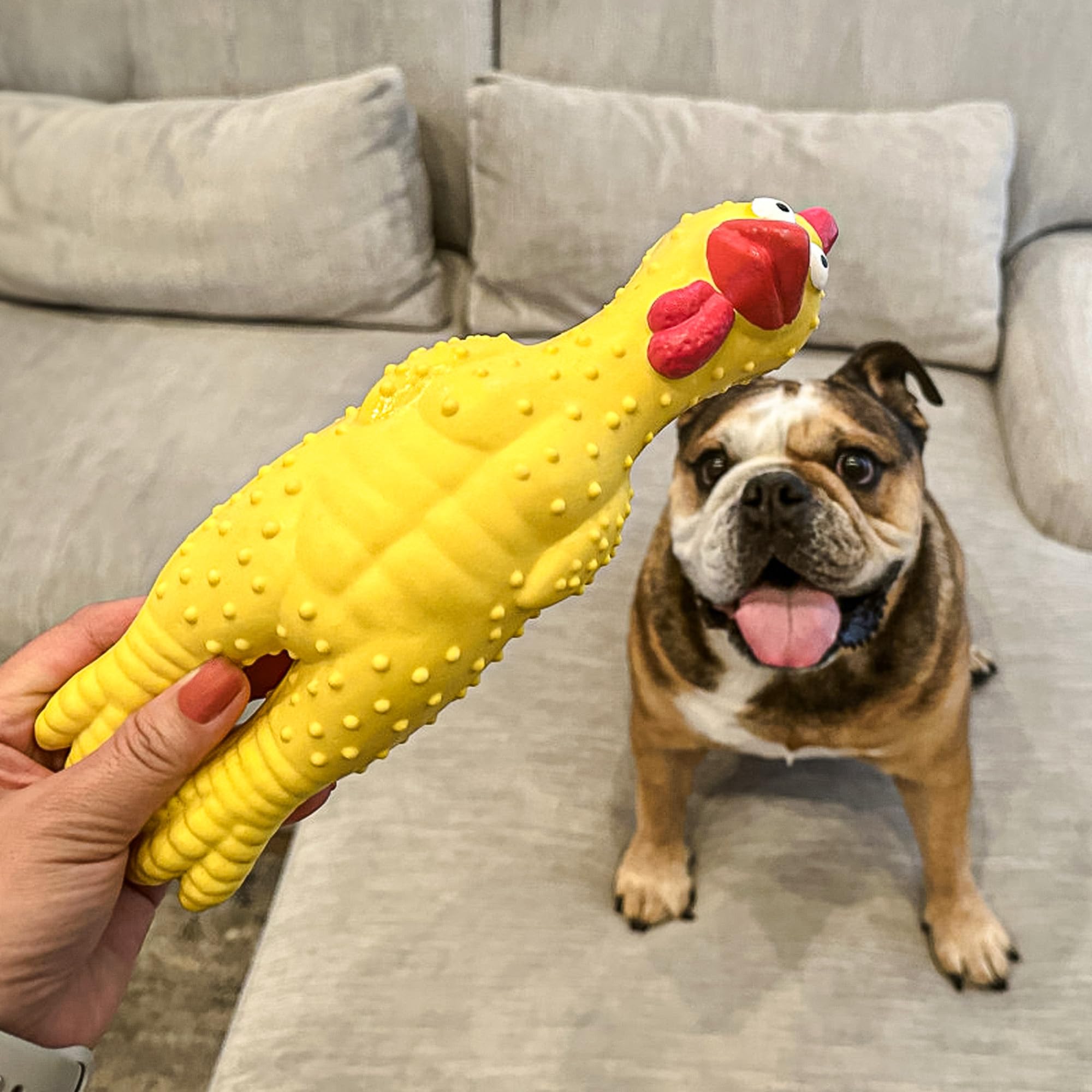 Baba Buddies latex chicken toy outdoor-use image for versatile play.