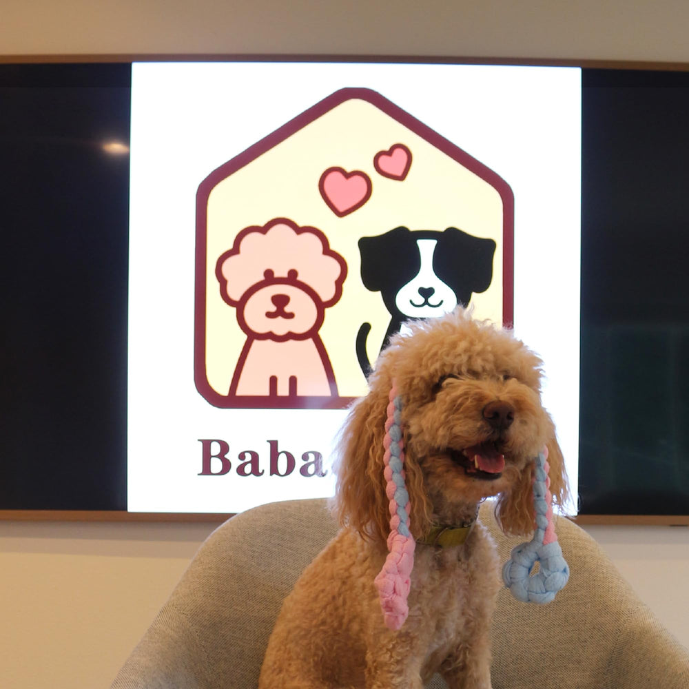 Baba&Nana agility-friendly tug toy helps recall and motivation.
