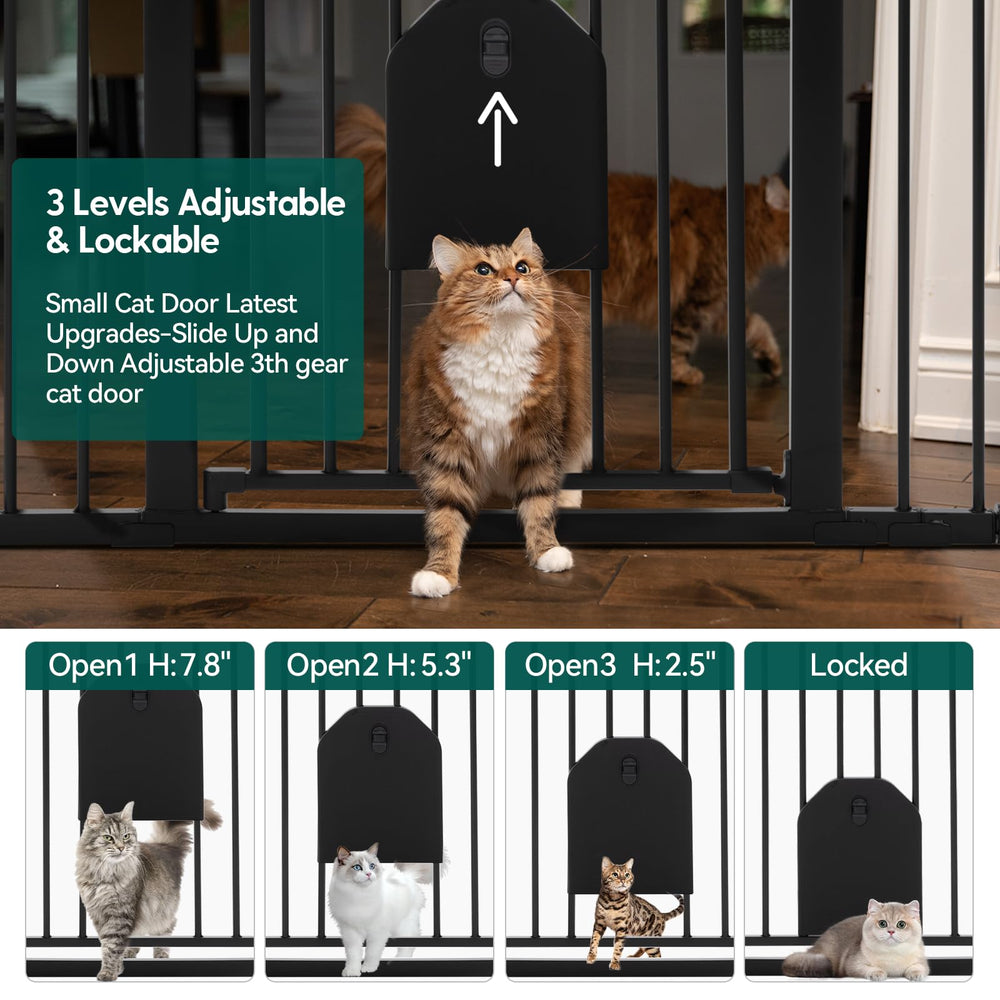 BABELIO Auto Close with cat door demonstrates convenient walk-through access for pets.