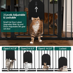 BABELIO Auto Close with cat door demonstrates convenient walk-through access for pets.