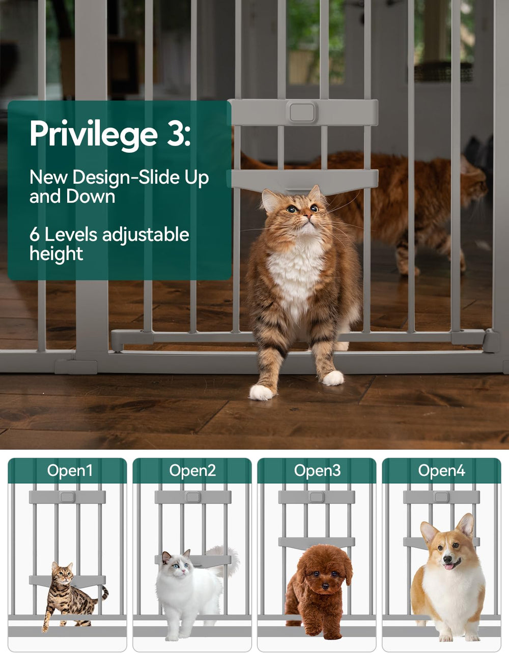 BABELIO auto-close two-way swing gate in use for easy hallway traffic.
