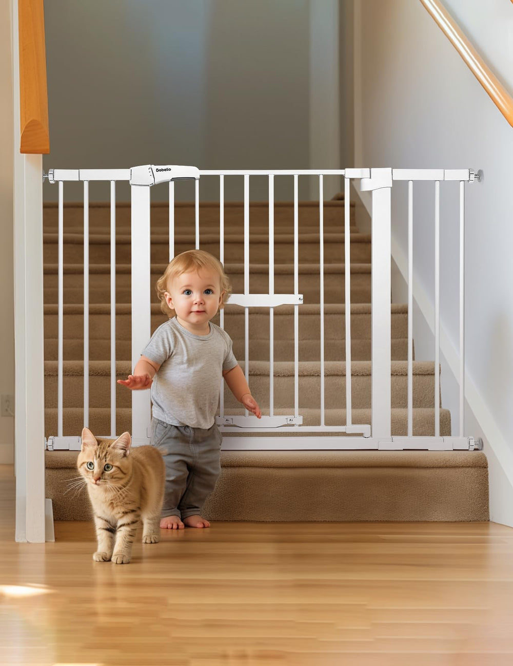 BABELIO extension kit demonstrates modular width options