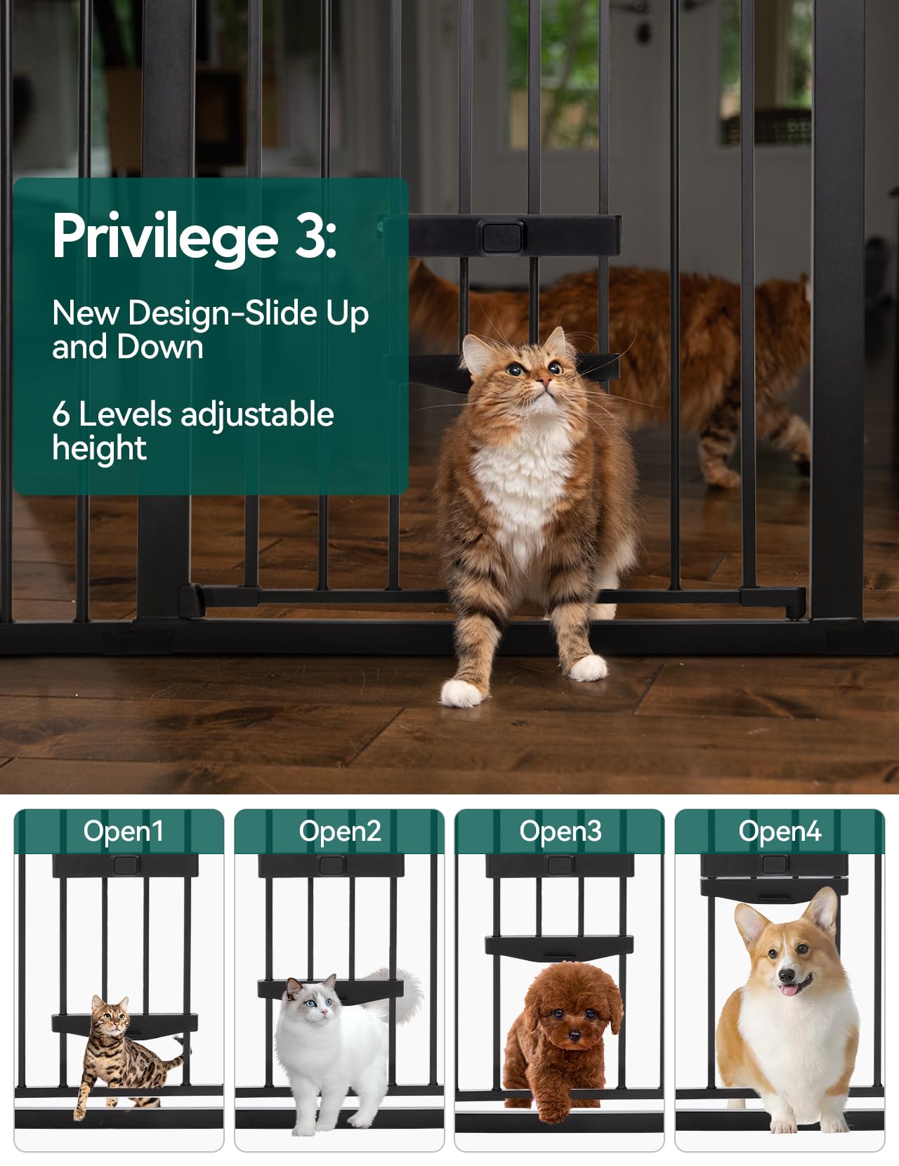 BABELIO cat door 7.5x12 sliding provides quick, quiet access for small pets.