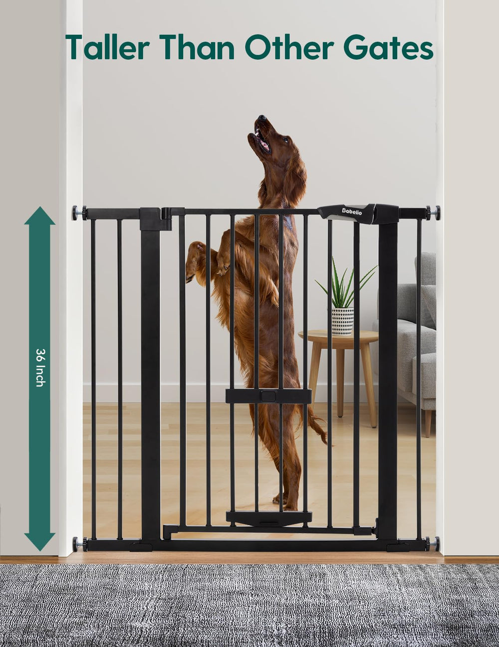 BABELIO cat door adjustable for small pets to pass through