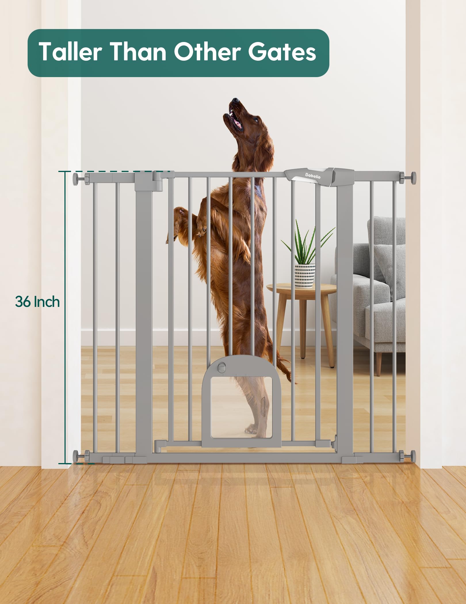 BABELIO upgraded cat door close-up showing easy access for small pets