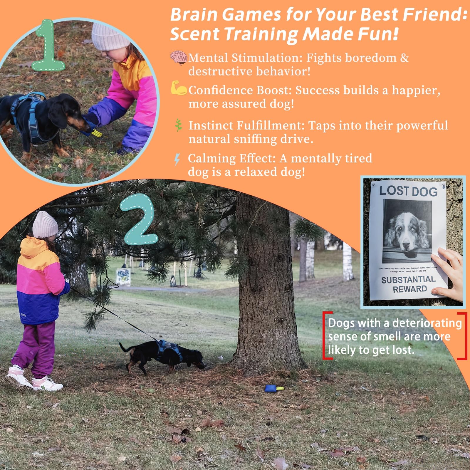 BabieDtOyG bird-sounds feature enhances hide-and-seek scent play.