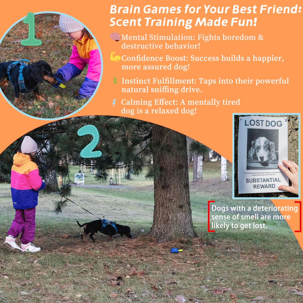 BabieDtOyG bird-sounds feature enhances hide-and-seek scent play.