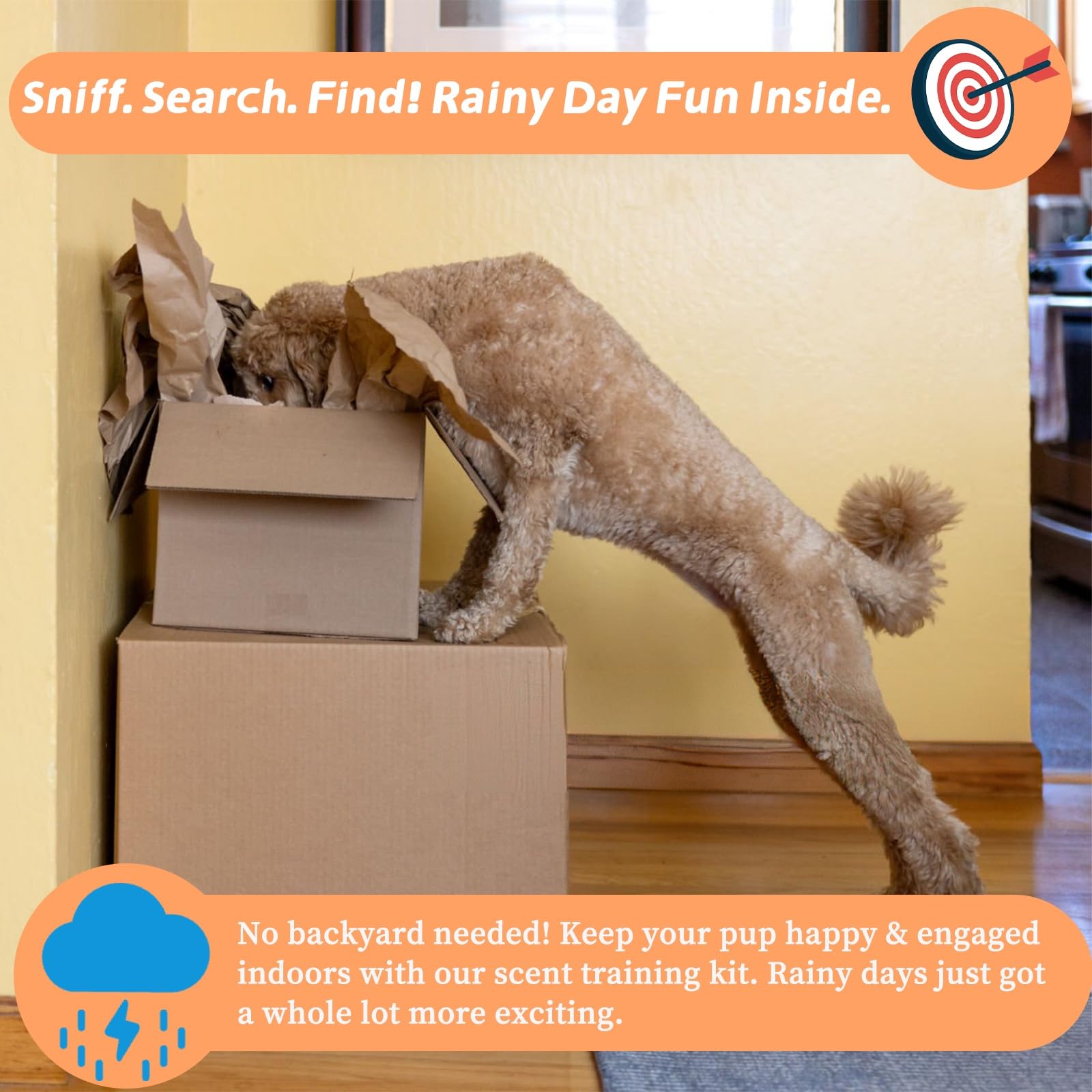 BabieDtOyG portable kit shows indoor and outdoor training versatility.