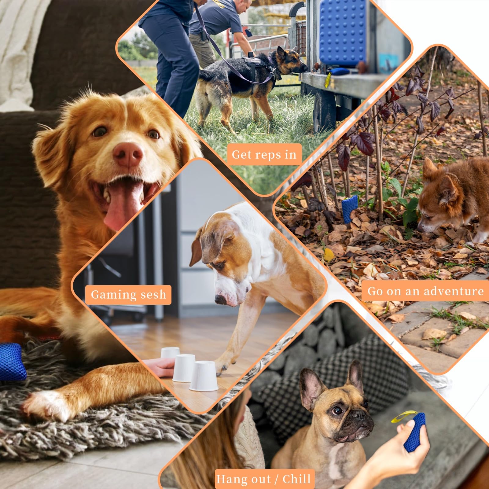 BabieDtOyG two-in-one scent-tracking and sound-hunt challenge fosters focus.