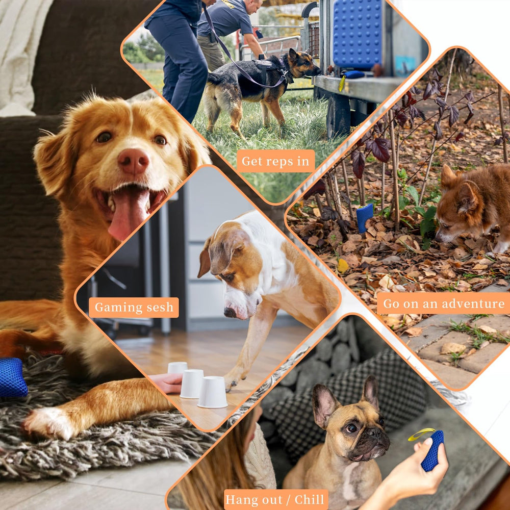 BabieDtOyG two-in-one scent-tracking and sound-hunt challenge fosters focus.