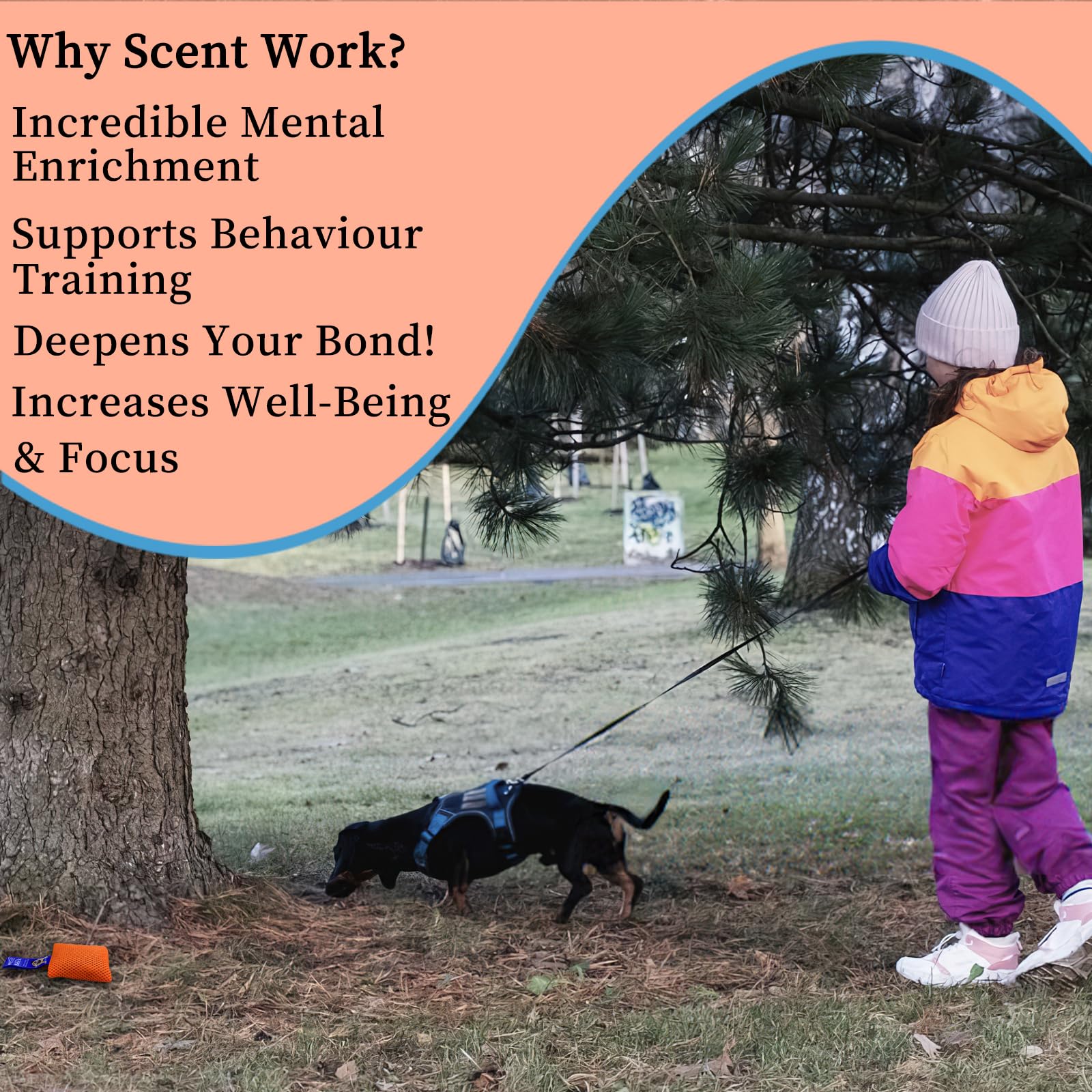 BabieDtOyG beginner-friendly tools make scent games accessible.