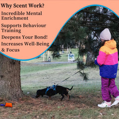 BabieDtOyG beginner-friendly tools make scent games accessible.
