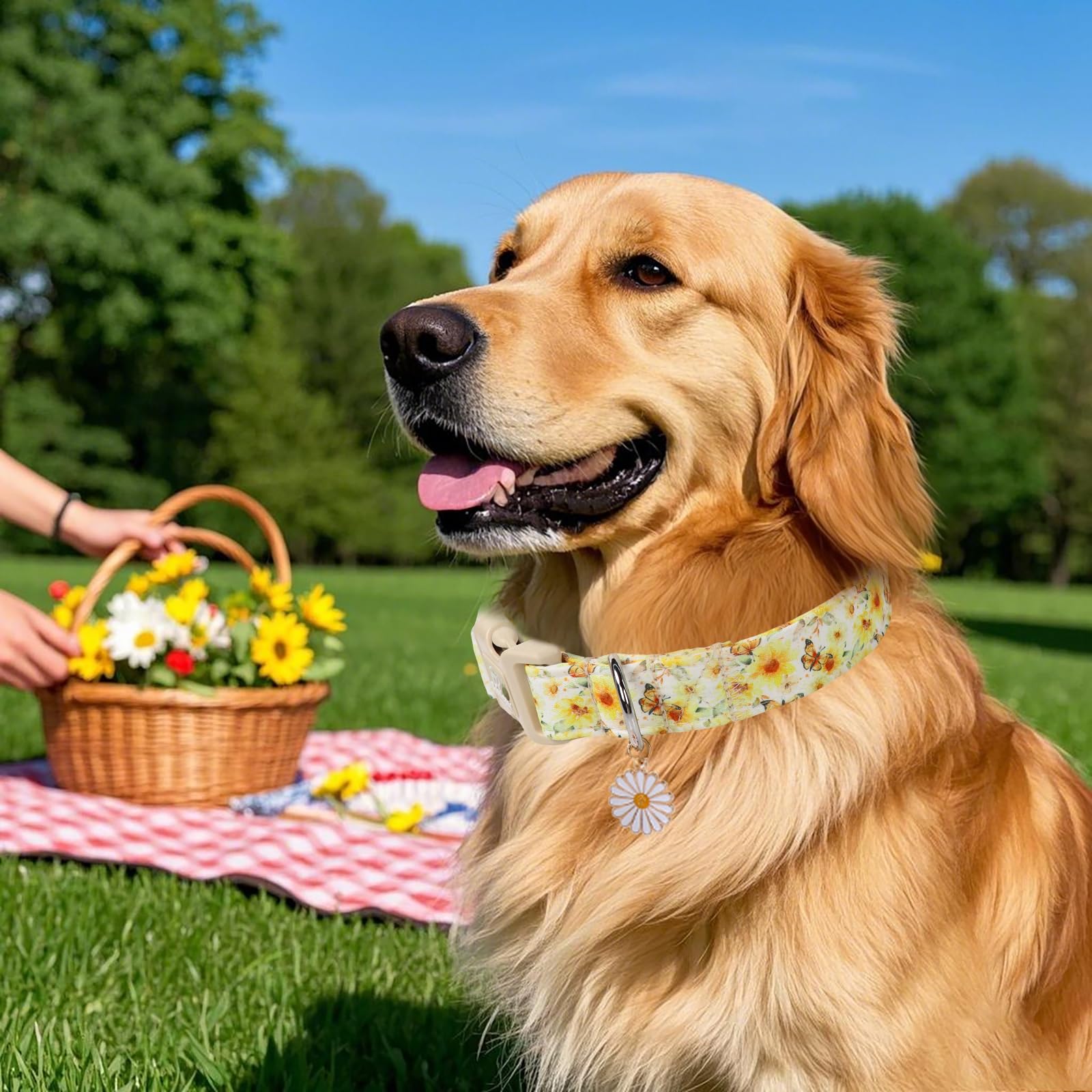 Babole Pet adjustable floral dog collar quick-release buckle in action for easy removal