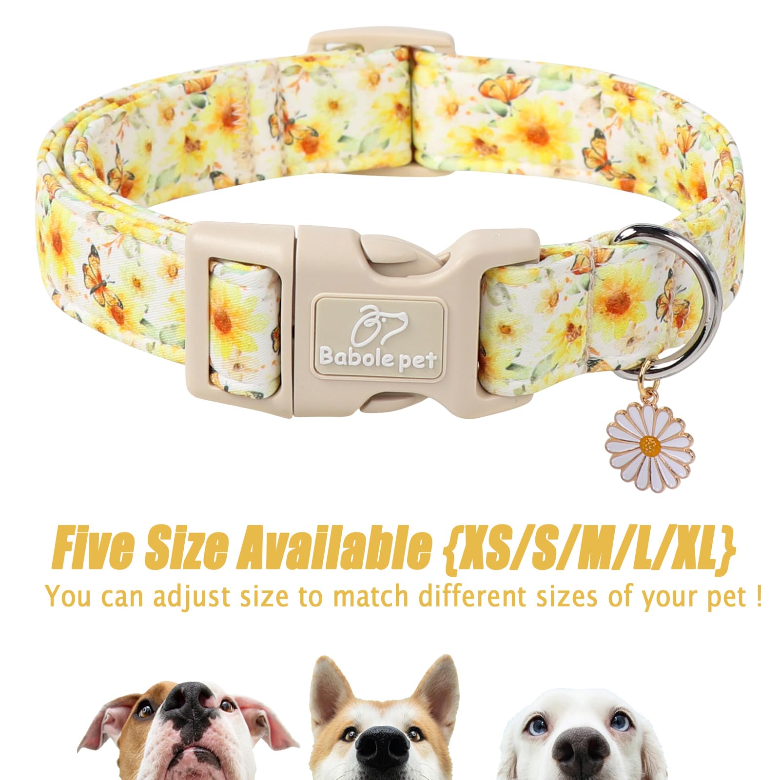 Babole Pet adjustable floral dog collar matching charm for extra cuteness on walks