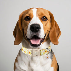 Babole Pet adjustable floral dog collar showcasing sunflower and butterfly pattern with bright colors