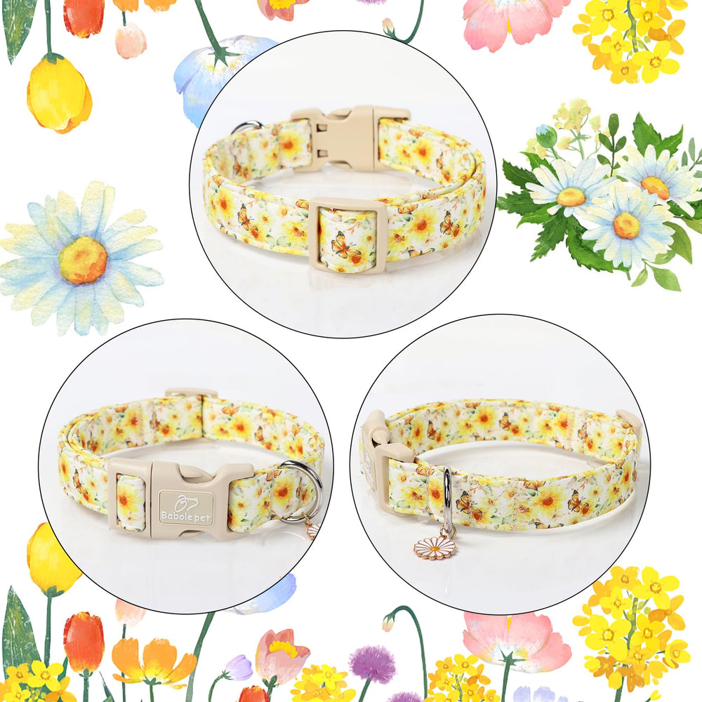 Babole Pet adjustable floral dog collar watercolor design ideal for weddings and photo shoots