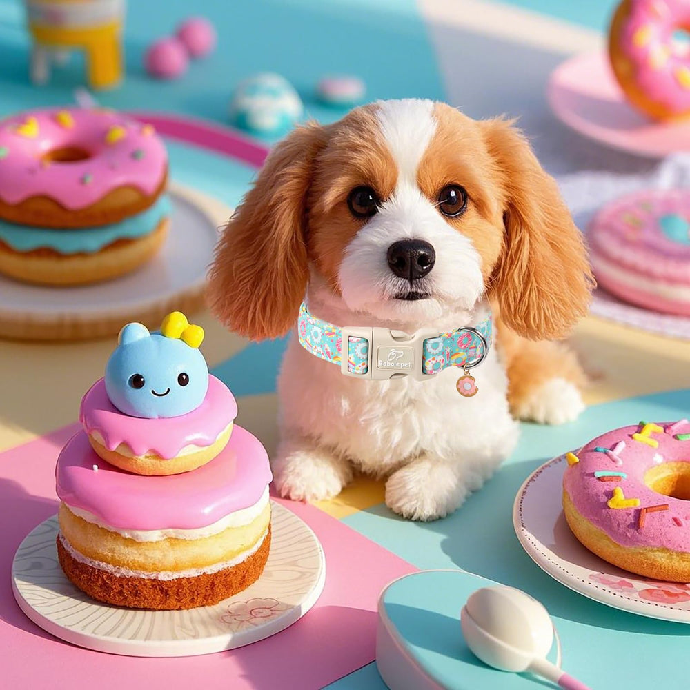 Babole Pet mint cake pattern collar offers bright visibility during outdoor adventures.