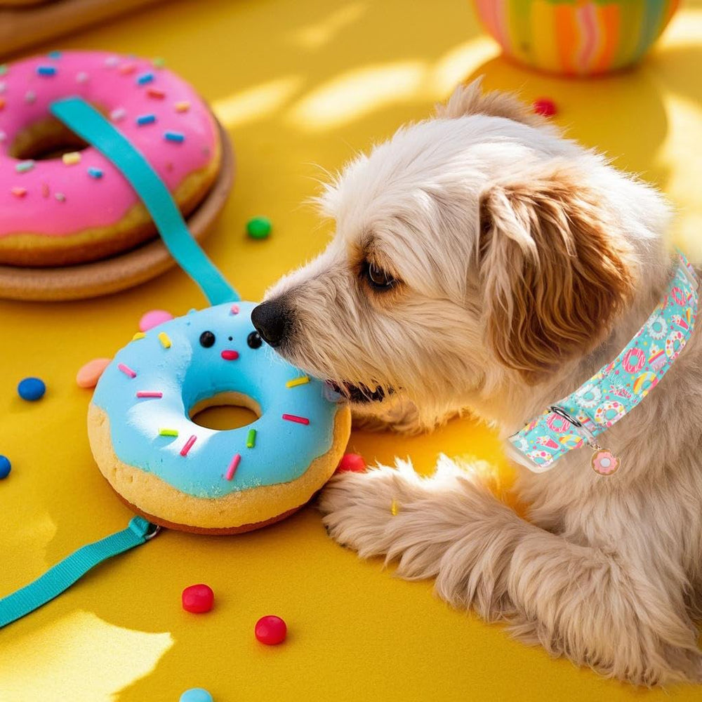 Babole Pet mint ice-cream pattern collar adds cheerful vibe to hikes.