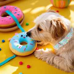Babole Pet mint ice-cream pattern collar adds cheerful vibe to hikes.