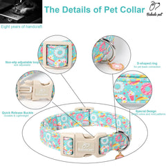 Babole Pet quick-release buckle closeup highlights safety and easy freeing.