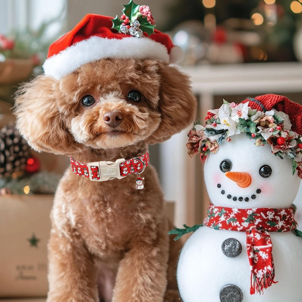 Babole Pet Christmas dog collar with reinforced D-ring for dependable leash attachment