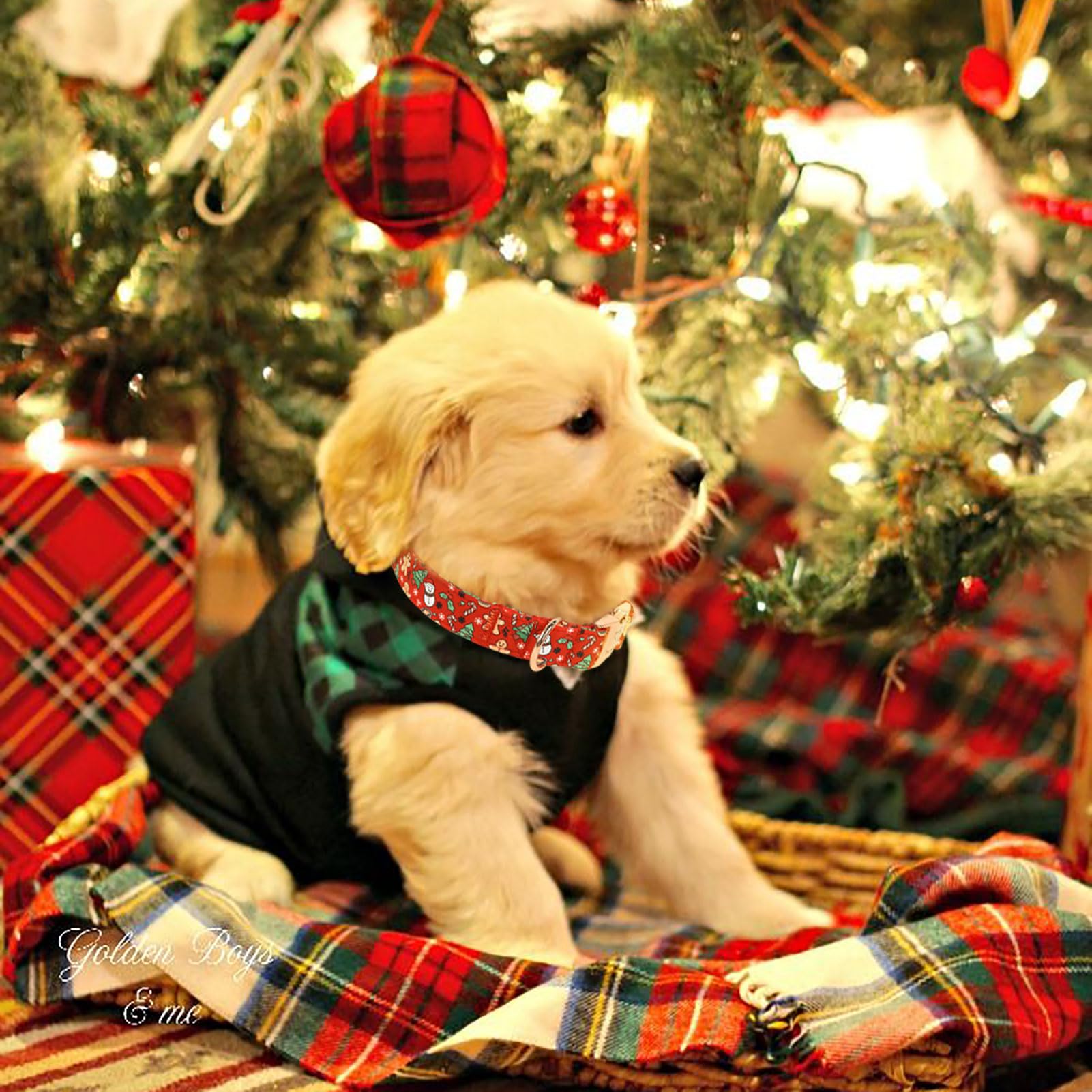 Babole Pet Christmas dog collar metal buckle demonstrates quick-release and durable construction