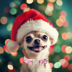 Babole Pet Christmas dog collar quick-release buckle for easy fitting.
