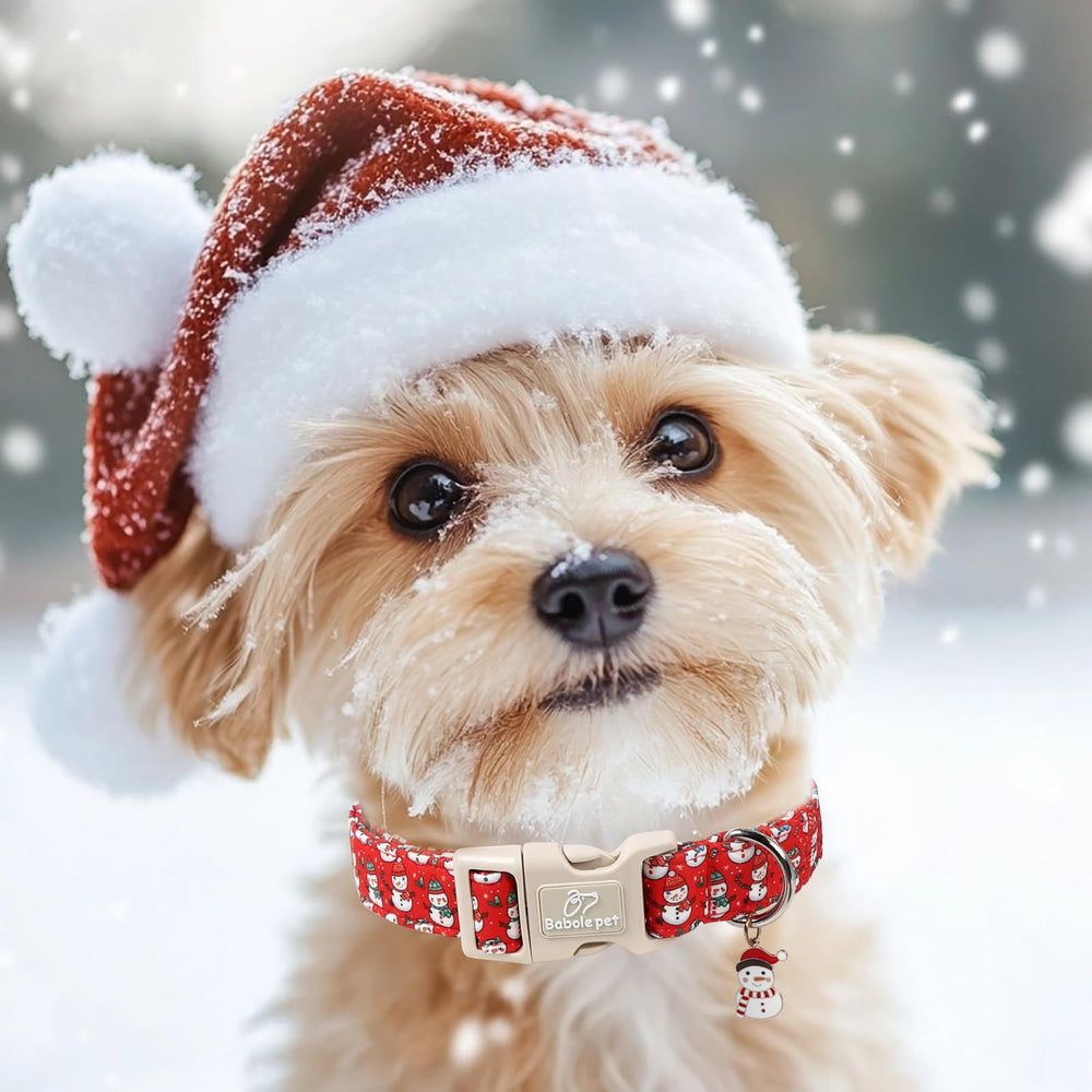 Babole Pet Christmas Dog Collar safety buckle enables quick on/off and secure walks