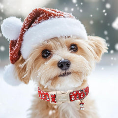 Babole Pet Christmas Dog Collar safety buckle enables quick on/off and secure walks