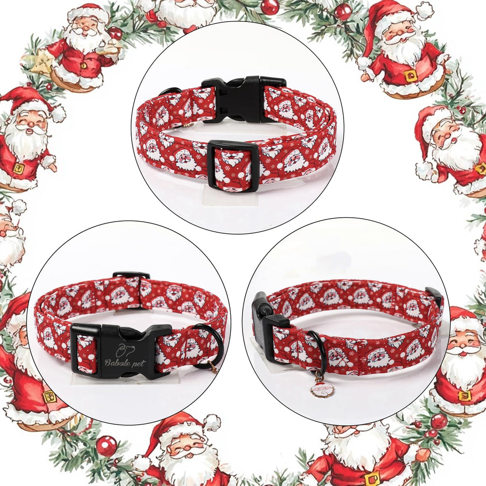 Babole Pet festive design with snowflake accents perfect for holiday photos