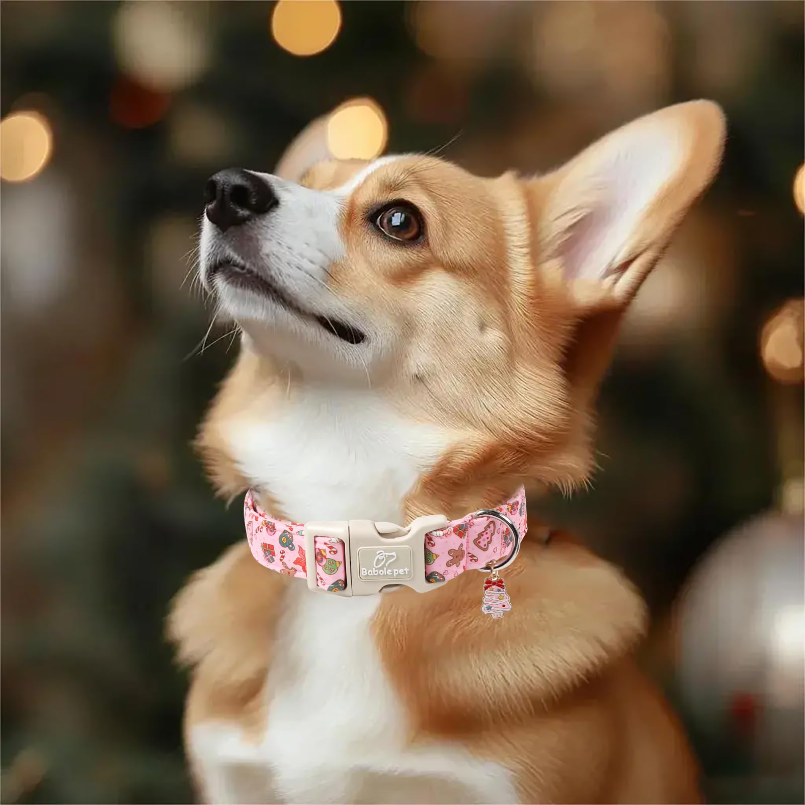 Collar Babole Pet uso diario, cómodo y práctico para paseos.