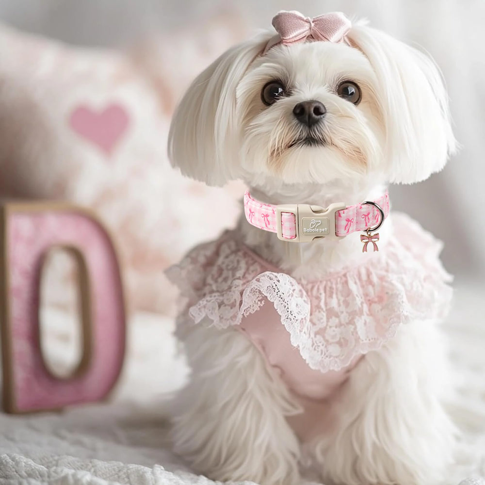 Babole Pet gift-ready charm collar is a charming present for pet lovers.