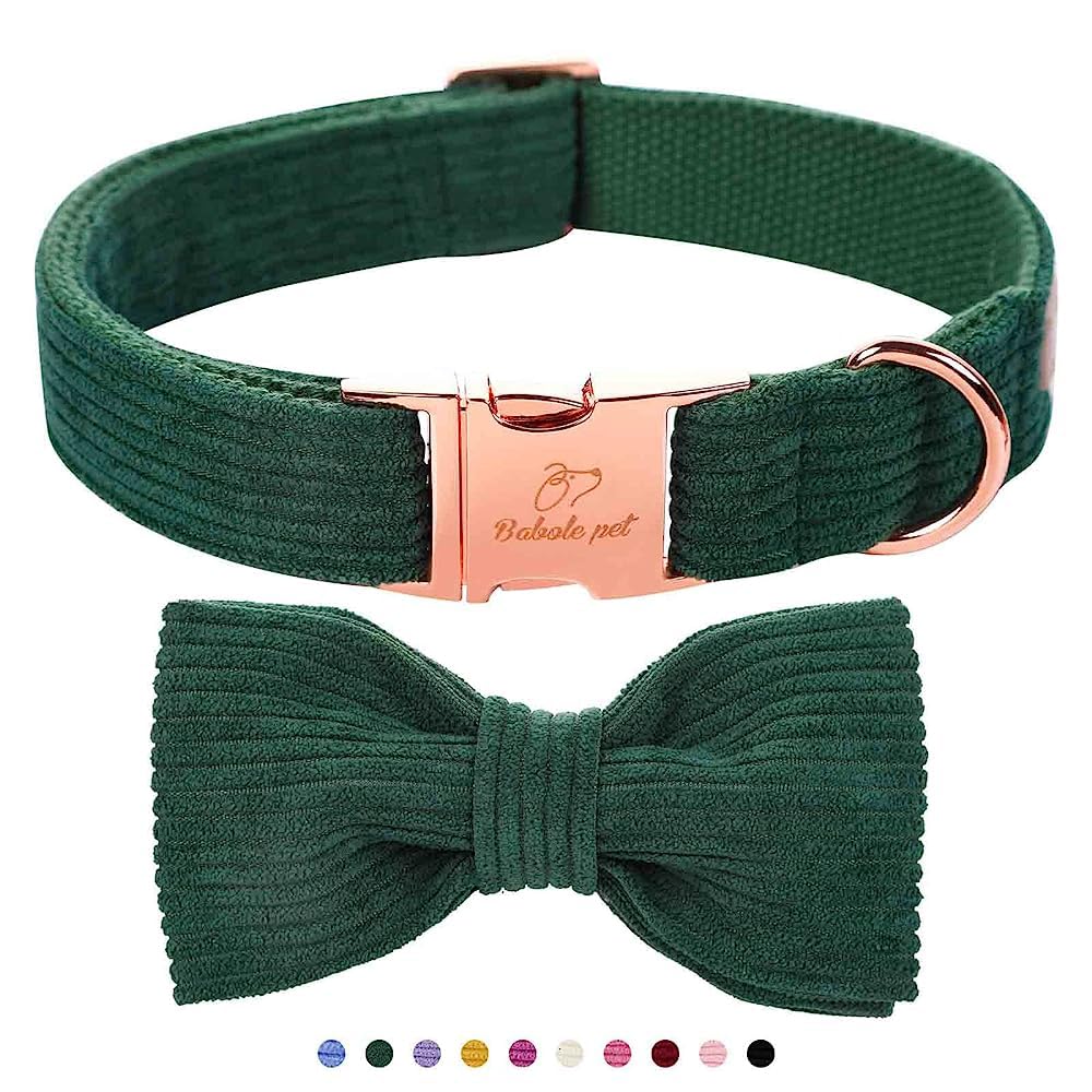 Babole Pet Green Dog Collar close-up buckle for secure daily walks
