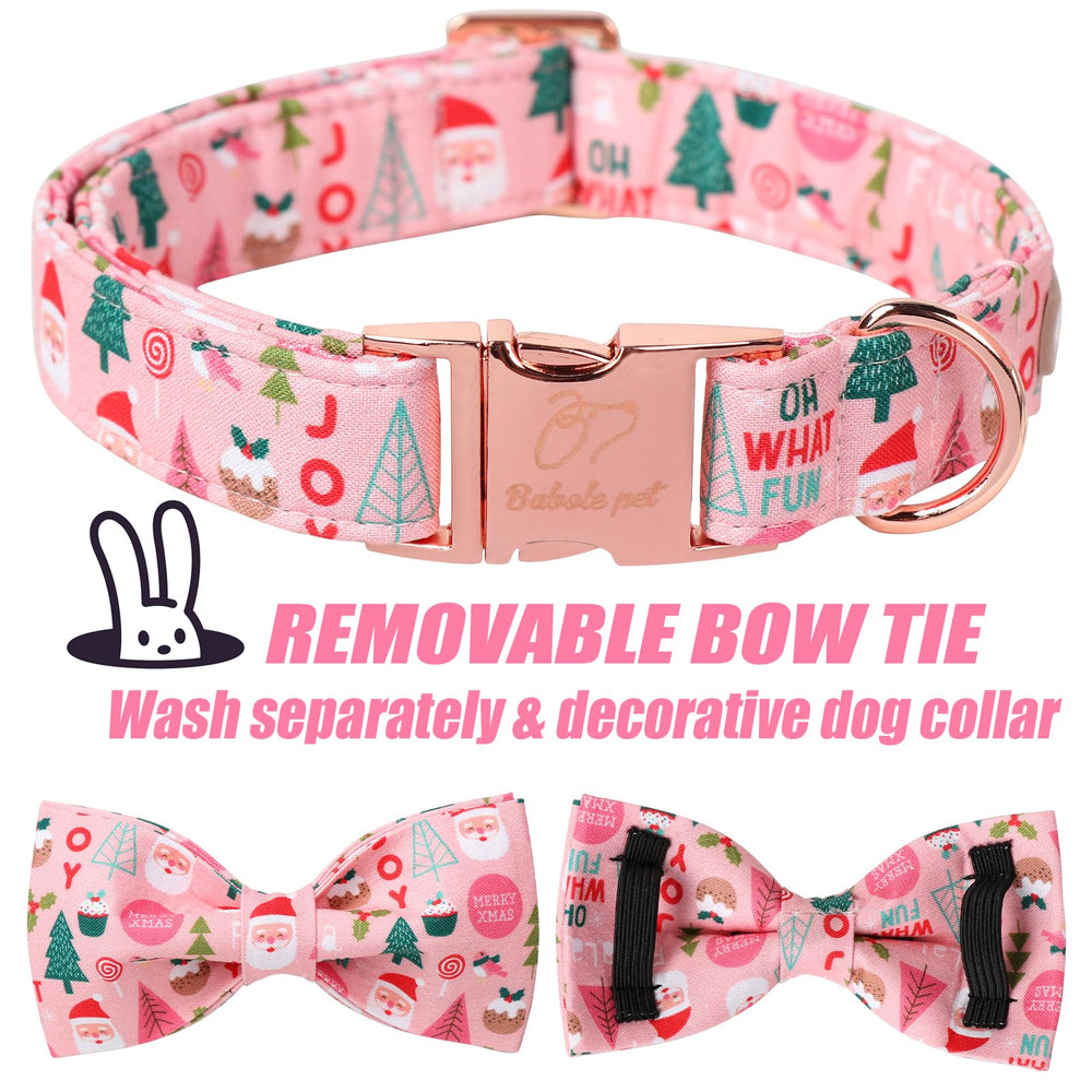Babole Pet holiday collar enhances photo appeal during celebrations