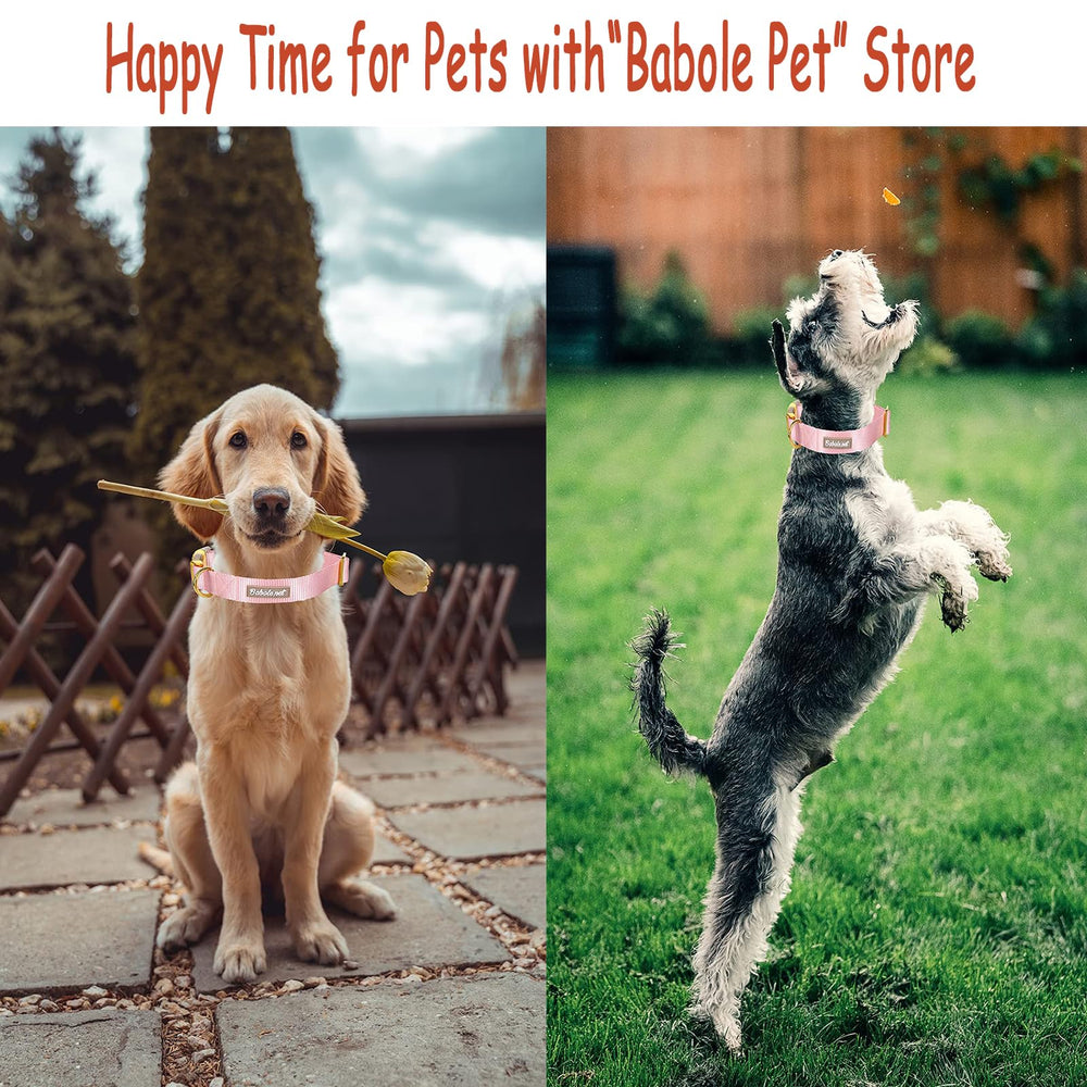 Babole Pet nylon dog collar pink solid colors helps pets stand out