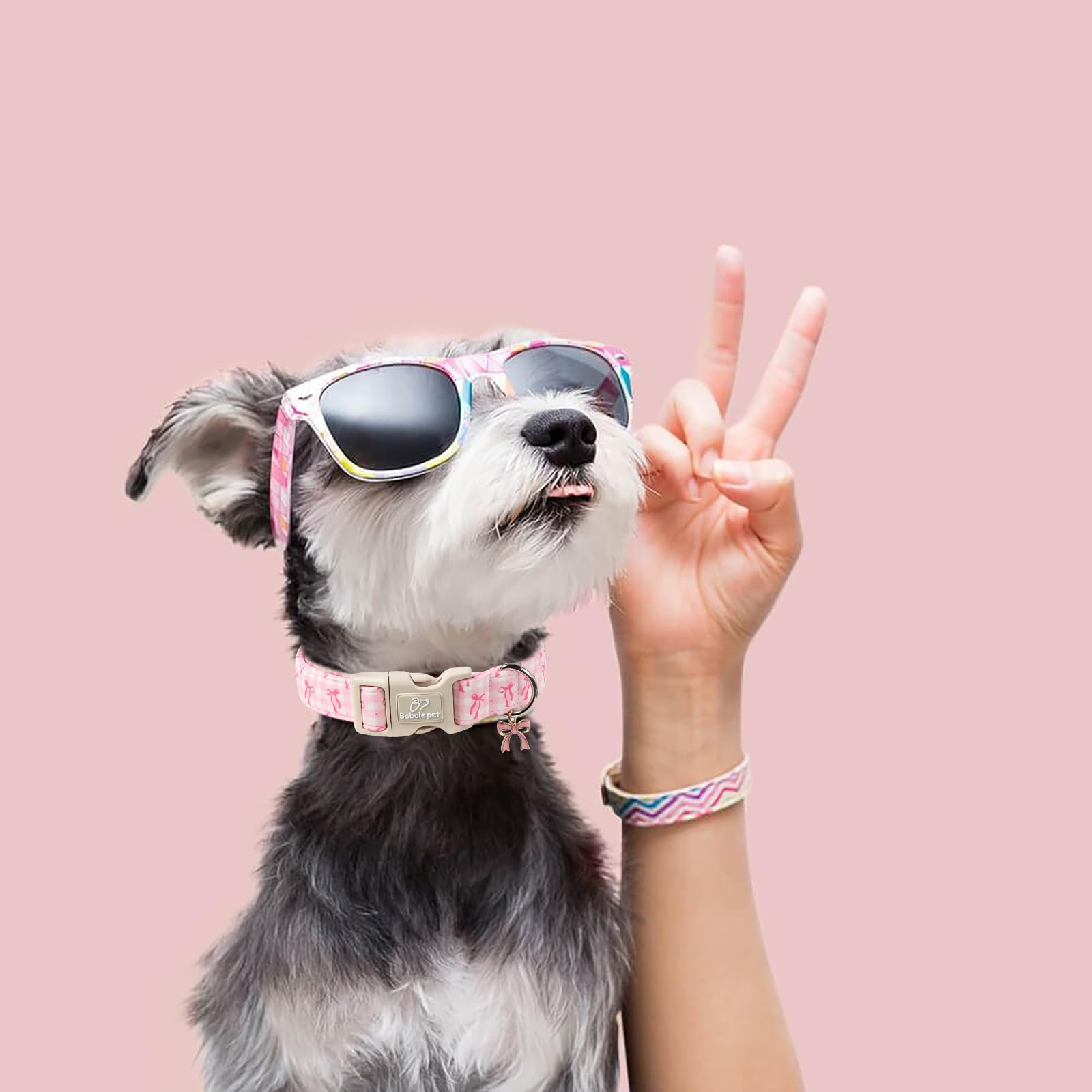 Babole Pet pink plaid bow charm collar adds a playful, photo-ready touch.