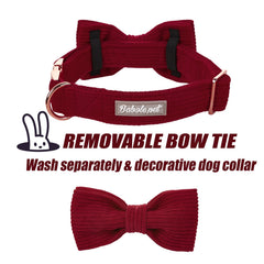 Babole Pet removable bow-tie demonstration for easy customization.