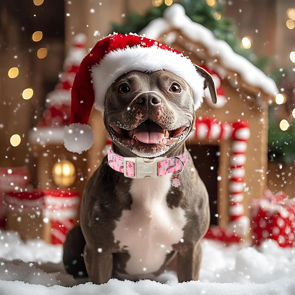 Babole Pet soft cotton dog collar designed for sensitive skin comfort.