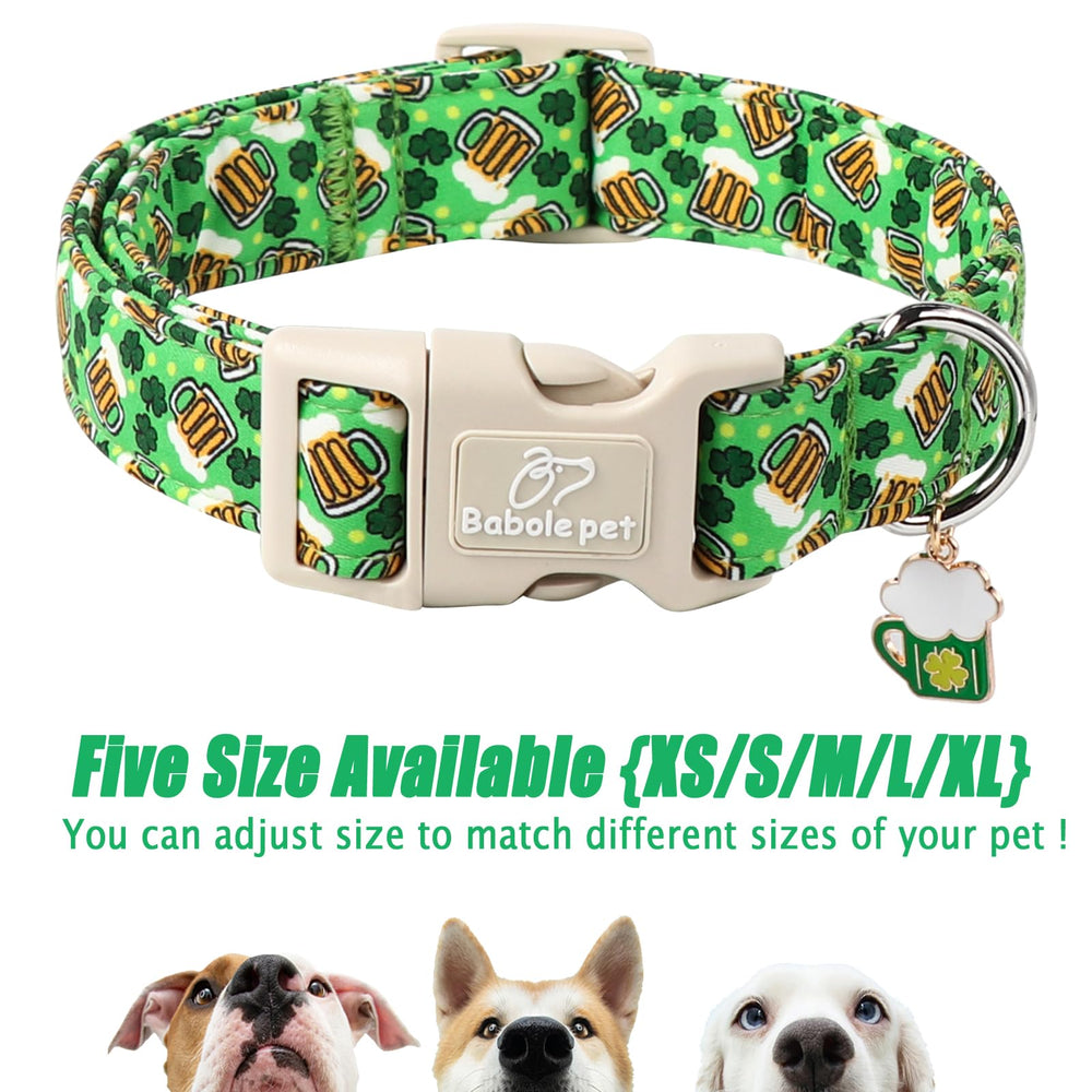 Babole Pet dog collar on puppy during playtime ideal for small dogs