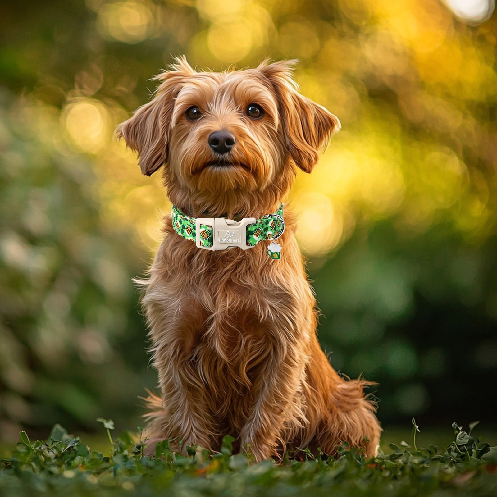 Babole Pet quick-release buckle shown for easy removal during emergencies