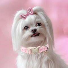 Babole Pet adjustable XS collar shows neck range 8–12 inches for tiny breeds.