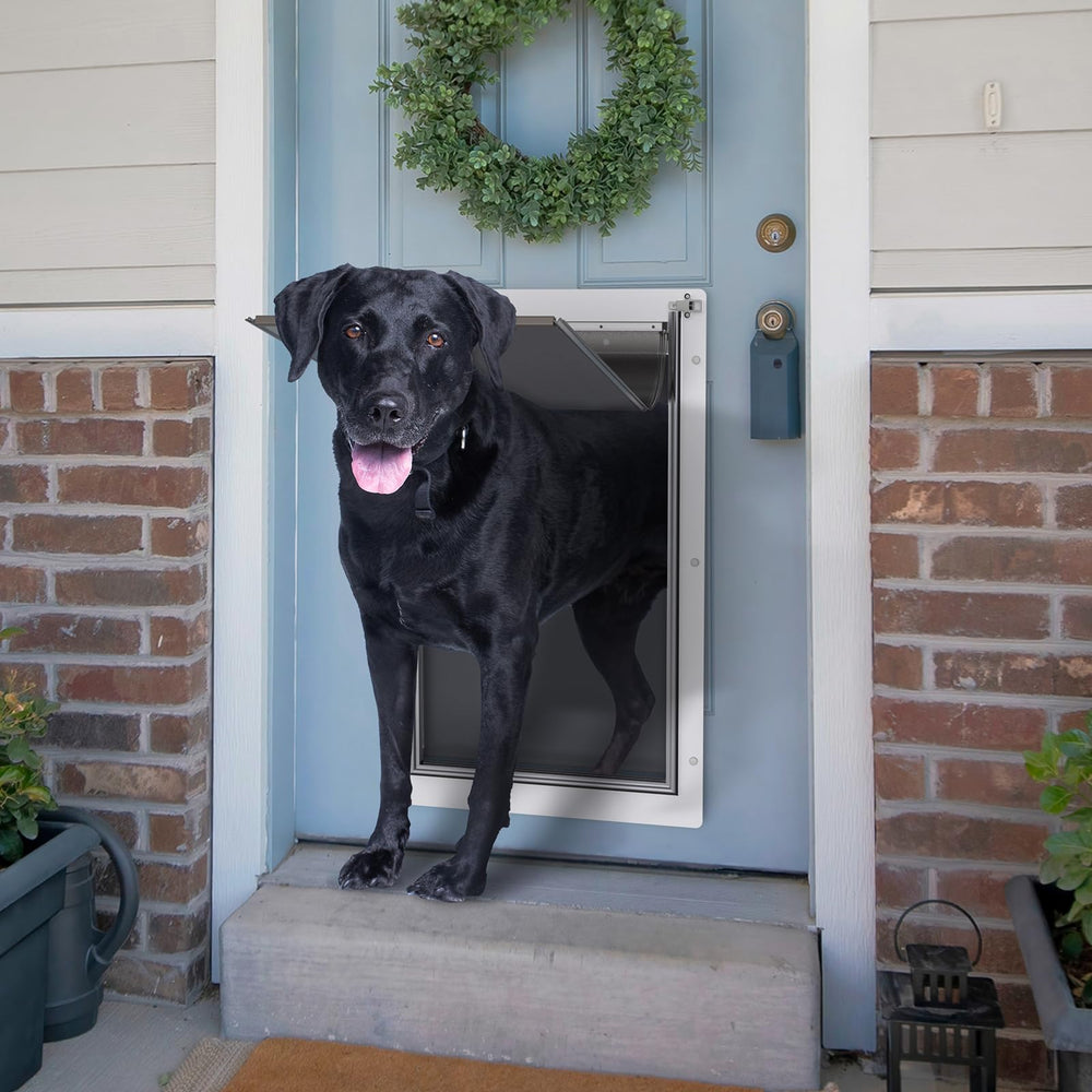 Baboni pet door in use with a dog entering confidently.