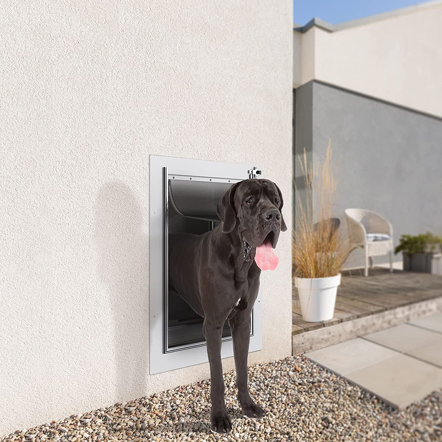 Baboni pet door suitable for pets up to 100 lb demonstrates big-pet capability