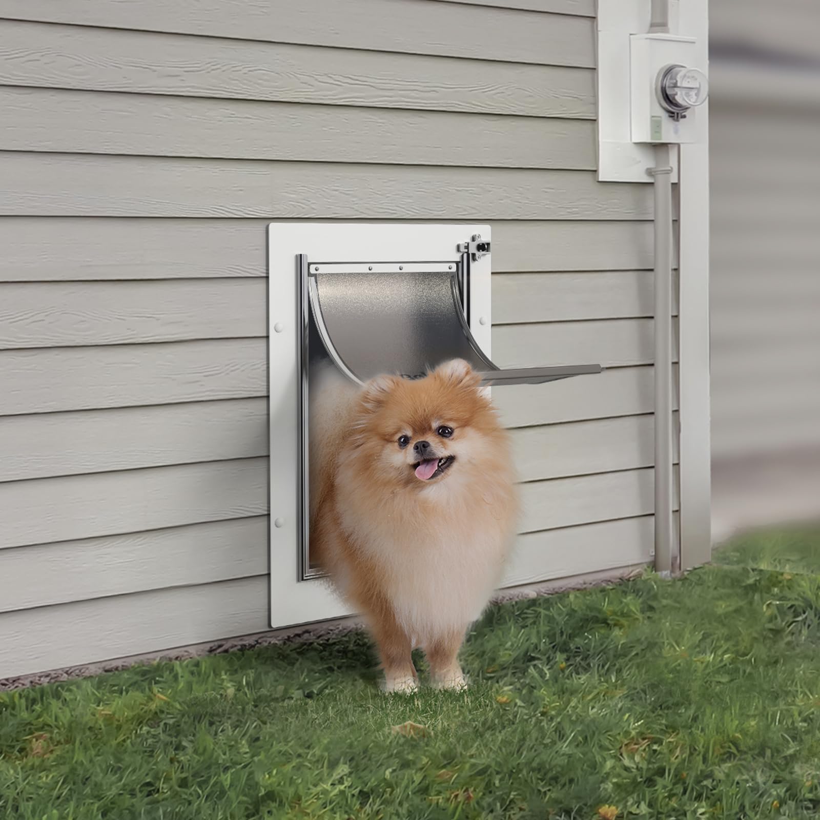 Baboni pet door wall in-use image features a pet using the door