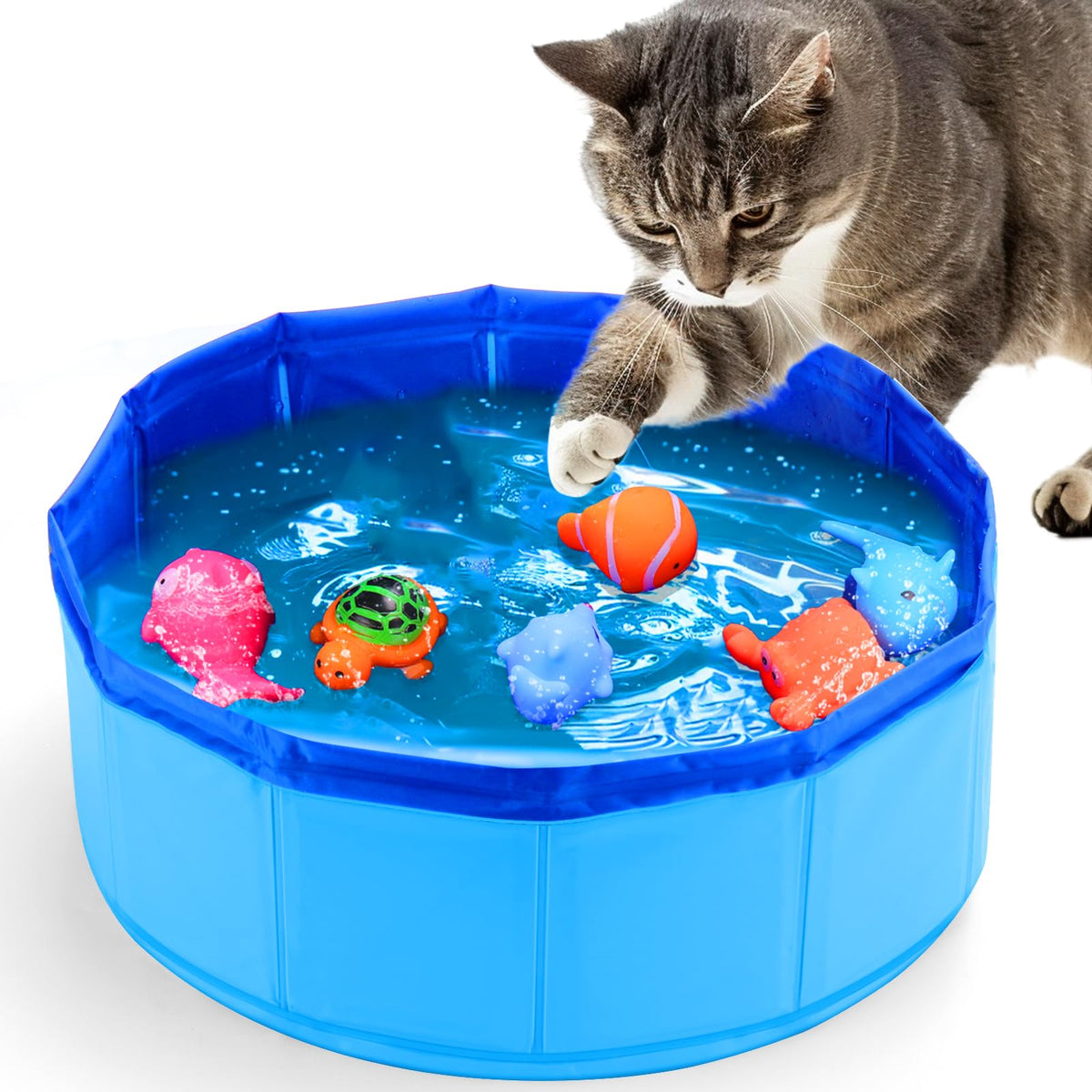 BABORUI cat pool toy with floating fish enhances interactive water play for curious cats