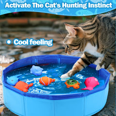 BABORUI cat pool toy being used indoors for interactive play