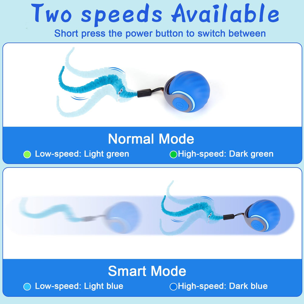 BABORUI 2-speed play for fast and slow chasing indoors.